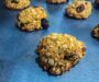 Healthy High Protein Oatmeal Raisin Cookies for Busy Lifestyles